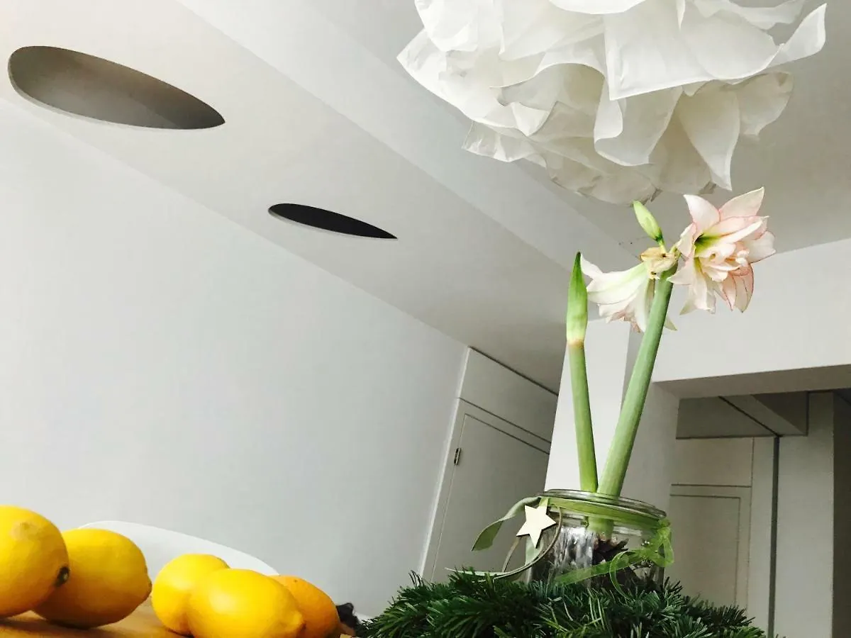 Apartment Architectural City Loft Sofia